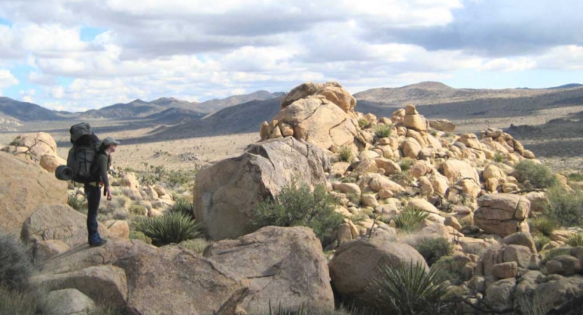 a person stands on an overlook at Joshua Tree National Park